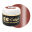 Calgel Colour Classic CGBB09S 4g