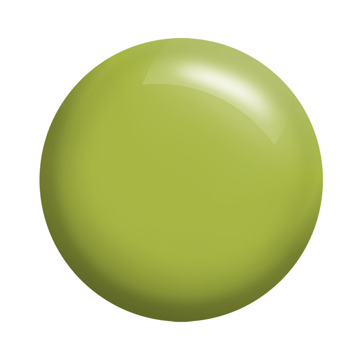 Calgel Colour Classic CGGR03S 4g – Calgel Arabia
