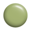 Calgel Colour Plus CGS10GR  2.5g